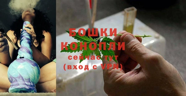 мяу мяу мука Гусиноозёрск