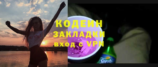 тгк Гусев