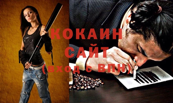 тгк Гусев