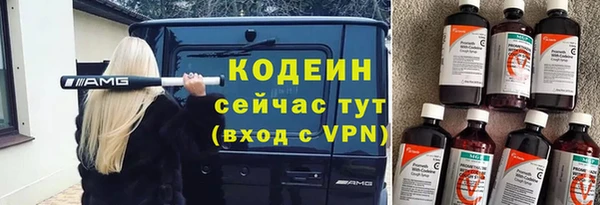 тгк Гусев