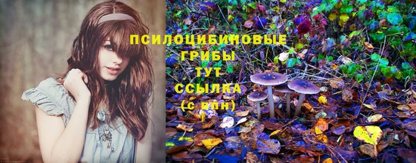 мяу мяу мука Гусиноозёрск