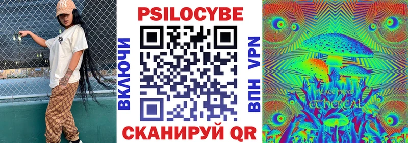 Галлюциногенные грибы Psilocybe Нахабино